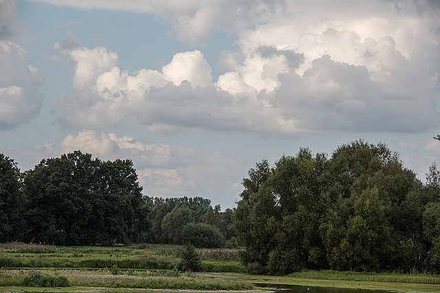 20150910 8767VRTw [D~PB] Steinhorster Becken, Delbrück