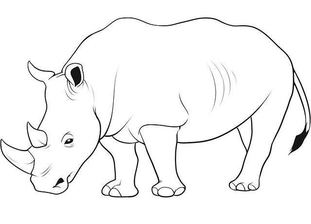 rinocero