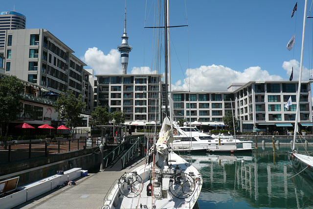 Auckland Marina