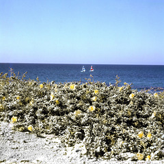 Cesaría view towards the  Mediterranean