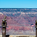 Grand Canyon set 312