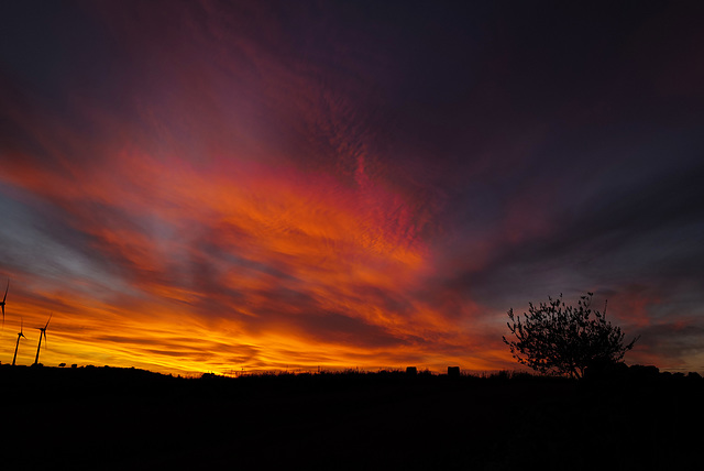 Penedos, Dusk, Tribute to Francisco