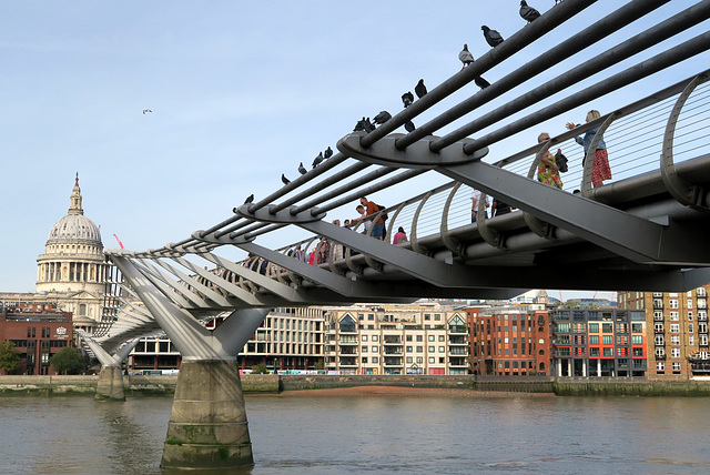 IMG 1650-001-Wobbly Bridge 1