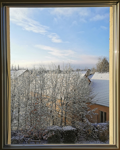 IMG 20251121 085812(1)R