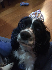 Abby wearing her first tiara