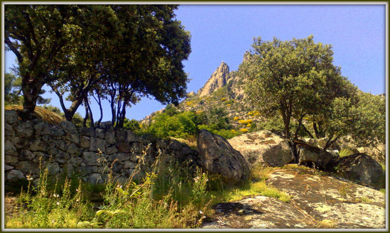By the monastery garden wall. La Sierra de La Cabrera