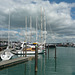 Auckland Marina