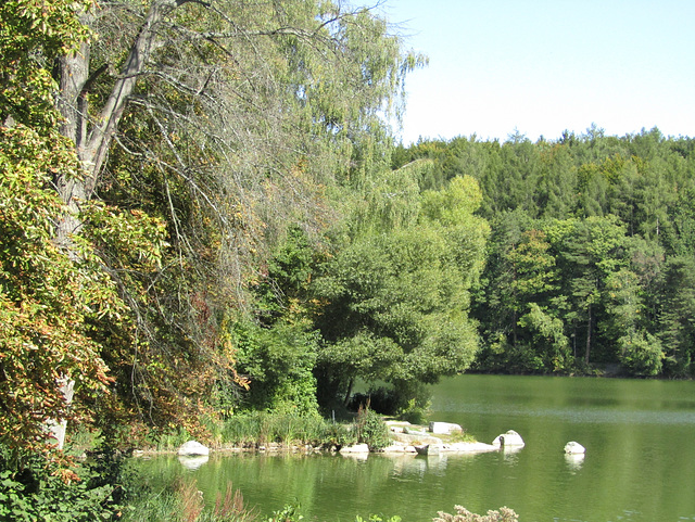 am Bodenwöhrer Weiher