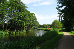 Alongside The River Wey