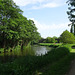 Alongside The River Wey