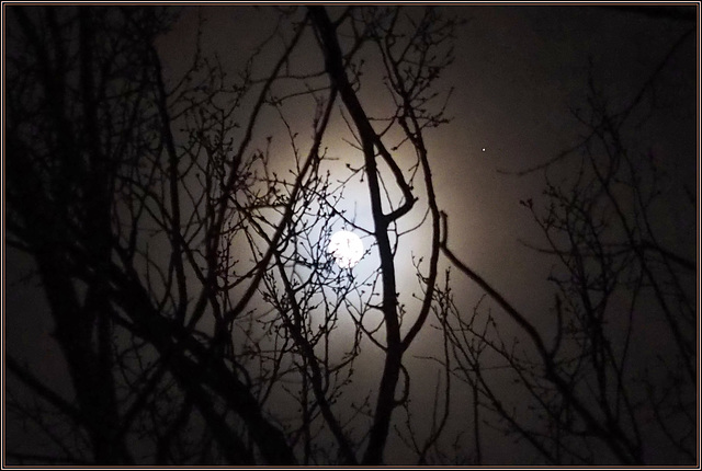 Mars leading the Moon across the sky