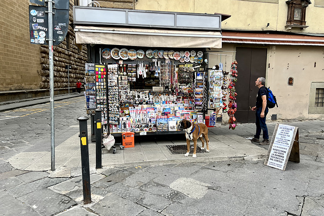 Florence 2023 – News stand