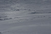 20170211 Raquettes Vercors sud Col de la bataille (40) al