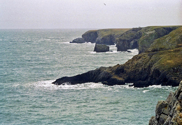 From the Pembrokeshire Coast Path (Feb 1995 scan)