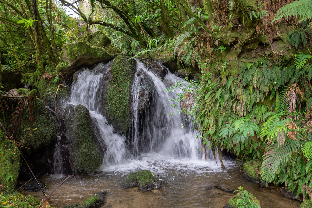 Neuseeland - The Buried Village