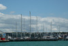 Auckland Marina