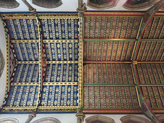 chelmsford cathedral, essex  (36)