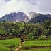 Sibayak Berastagi Sumatra Indonesia 18th January 1981