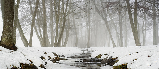 .........die mystische Stimmung im Walde mit dem Bacherlen....