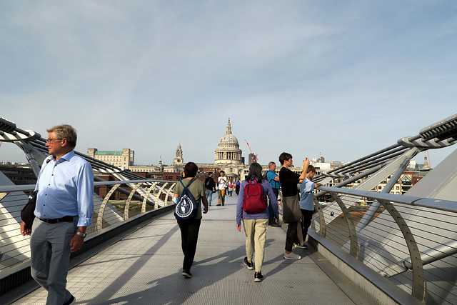 IMG 1663-001-Wobbly Bridge 3