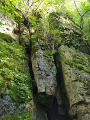 Auf der Suche nach dem "Buchenloch" XII