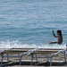 beach benches ;-)