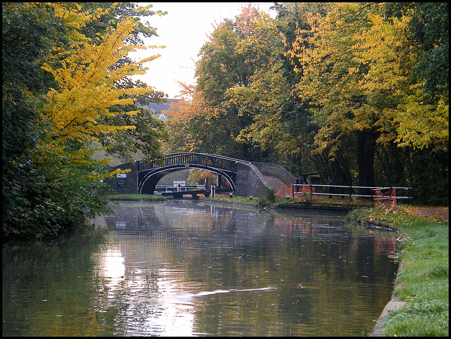 autumn trees at Isis Bridge