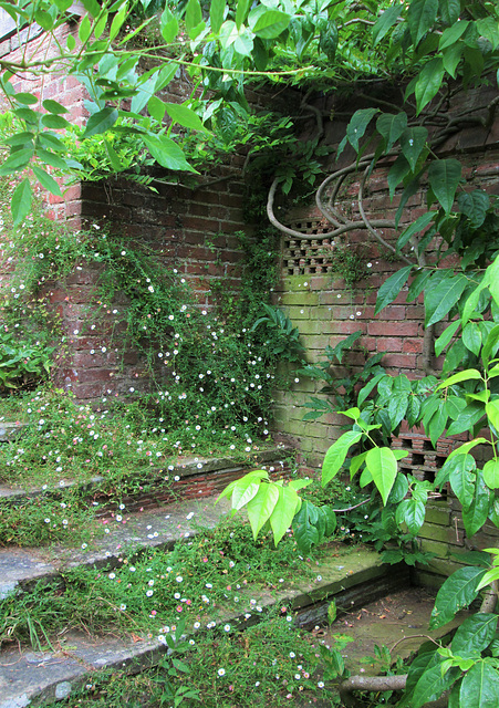 Quiet Steps...Great Dixter.