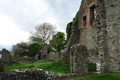 Ruins At Crom