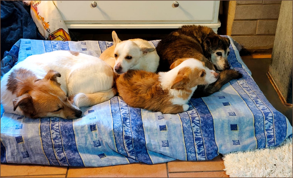 Kuschelstunde ❤