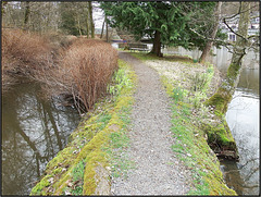 Zisterzienserabtei Himmerod, Eifel 034