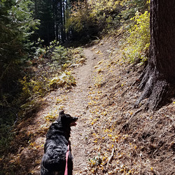 20191013 123646 001 20191013 123646 001