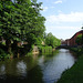 River Wey At Guildford