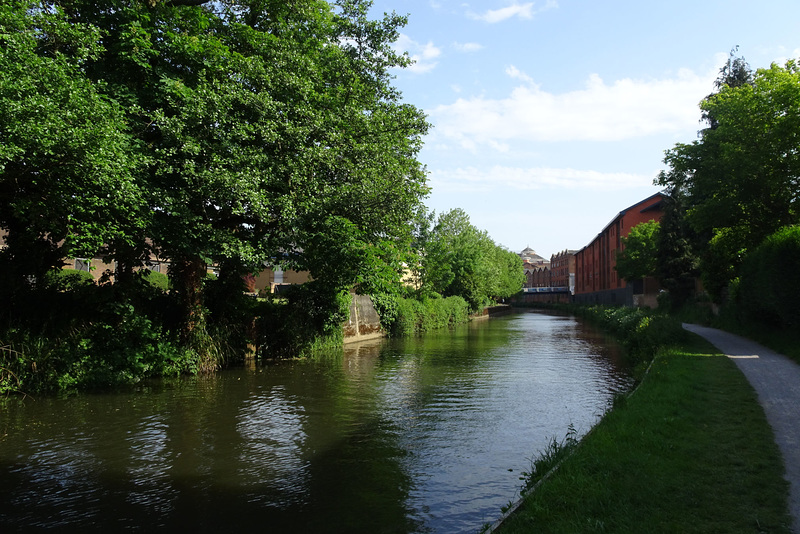 River Wey At Guildford