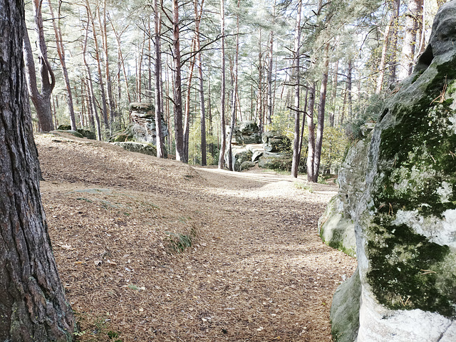 Rundwanderung Meyernberg-Buchstein-Saas