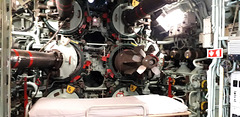 Torpedo tubes and bed.