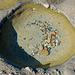 Rock pool