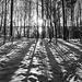 Spuren im Schnee