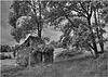Ruined Barn