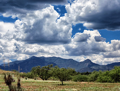 Huachuca Peak