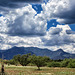 Huachuca Peak