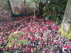 SoA[25] - all fell down