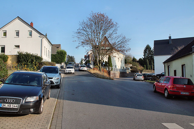 Siegfriedstraße (Unna-Massen) / 12.11.2016