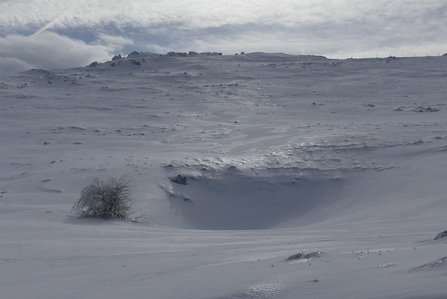 20170211 Raquettes Vercors sud Col de la bataille (43) al