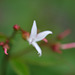 DSCF7095