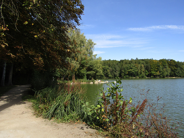 am Rundweg Bodenwöhrer Weiher