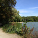 am Rundweg Bodenwöhrer Weiher