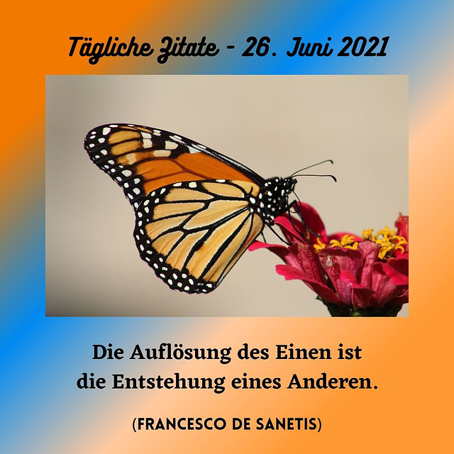 Tägliche Zitate - 26. Juni 2021