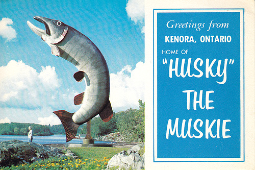 Husky the Muskie