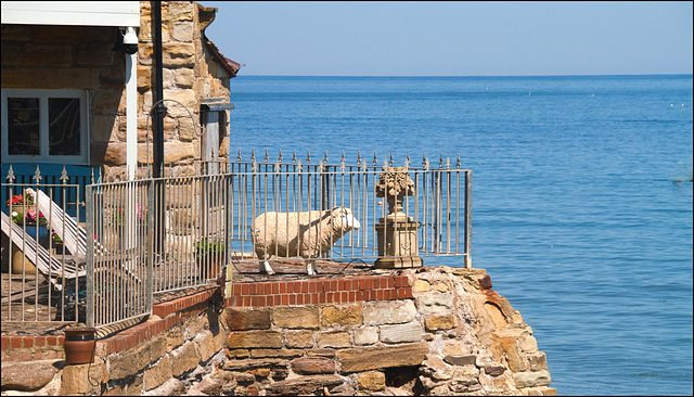 HFF.............From Robin Hood's Bay